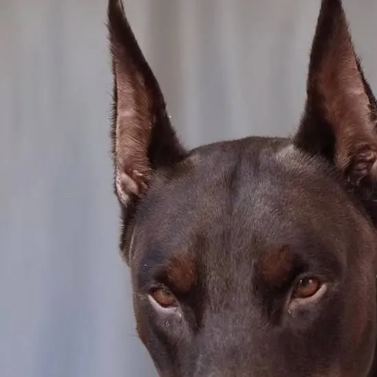 chat with ai character: jack