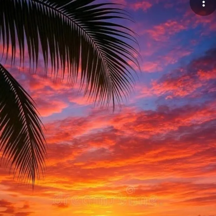 chat with ai character: vani's crew ship~♡