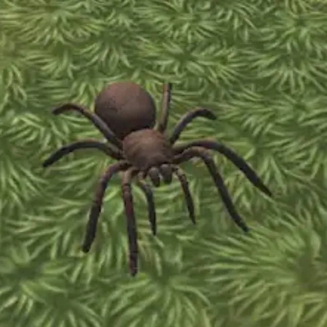 chat with ai character: Tarantula