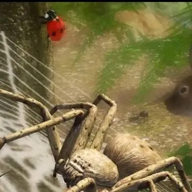 chat with ai character: huntsman spider