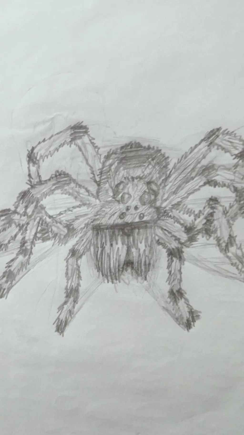 ai character: Wolf spider background