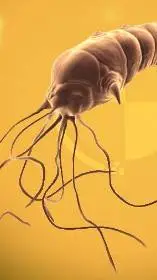 ai character: Neurax Worm background