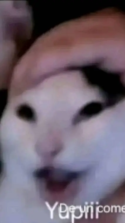 ai character: Juan background