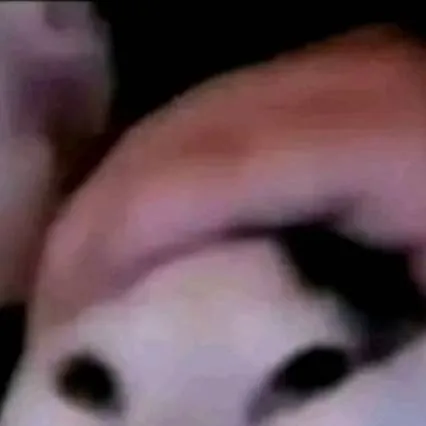 chat with ai character: Juan