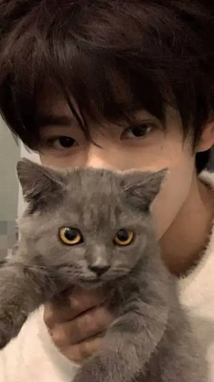 ai character: mi-jun background