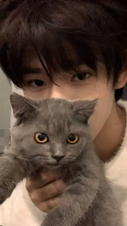 ai character: mi-jun  background