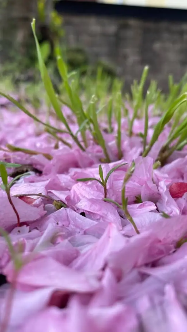 ai character: FOURS FRIENDS  background