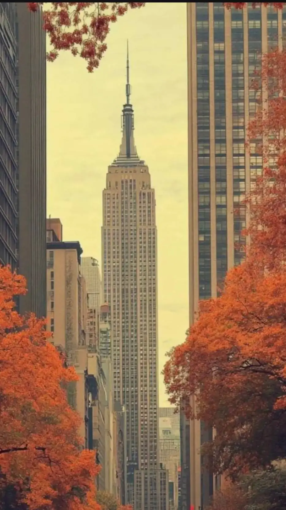 Talkie AI - Chat with your story!