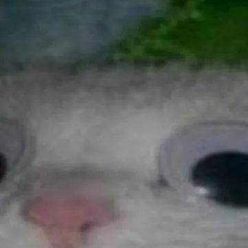 chat with ai character: dulces sueños 🥀