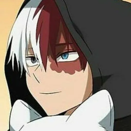chat with ai character: Todoroki 