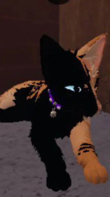 ai character: HÆLF background