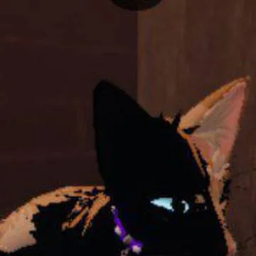 chat with ai character: HÆLF