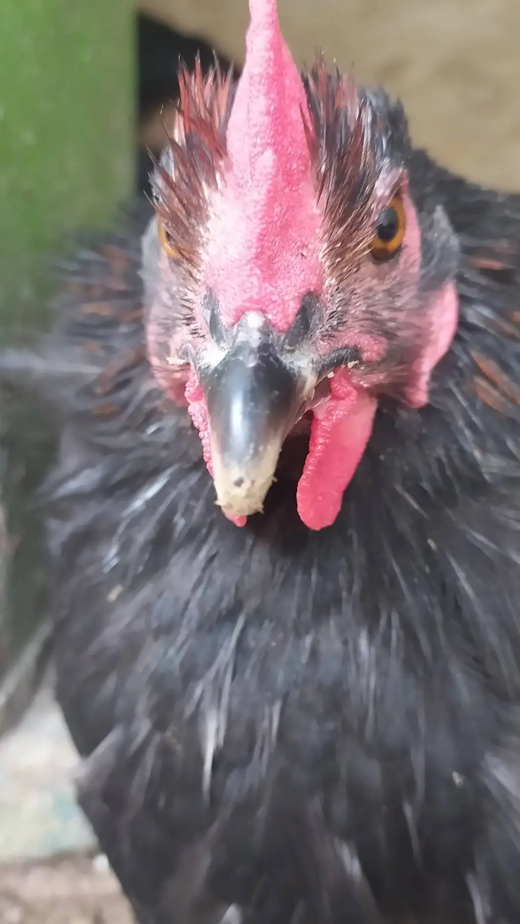 Talkie AI - Chat with David