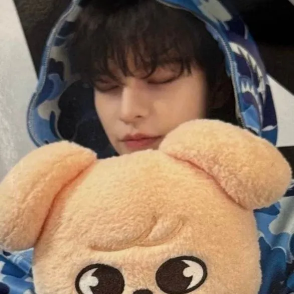 chat with ai character: SEUNGMINNN
