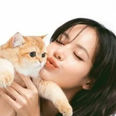 chat with ai character: Lalisa