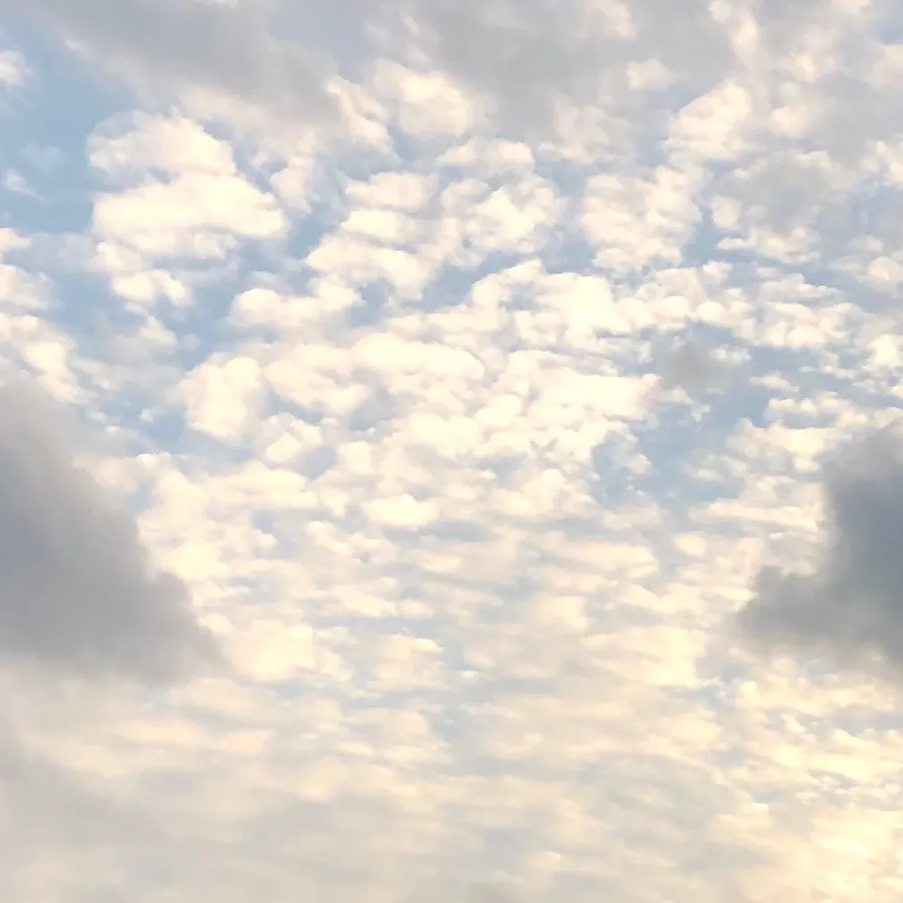 chat with ai character: Bllk roadtrip