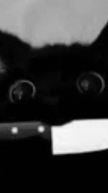 ai character: EEBS🔪 background