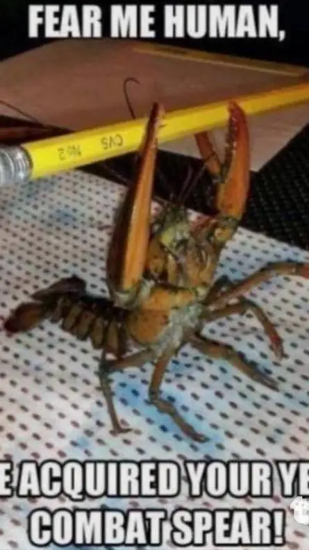 Talkie AI - Chat with die of death