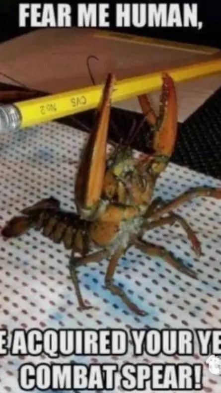 ai character: CNY DOD  background