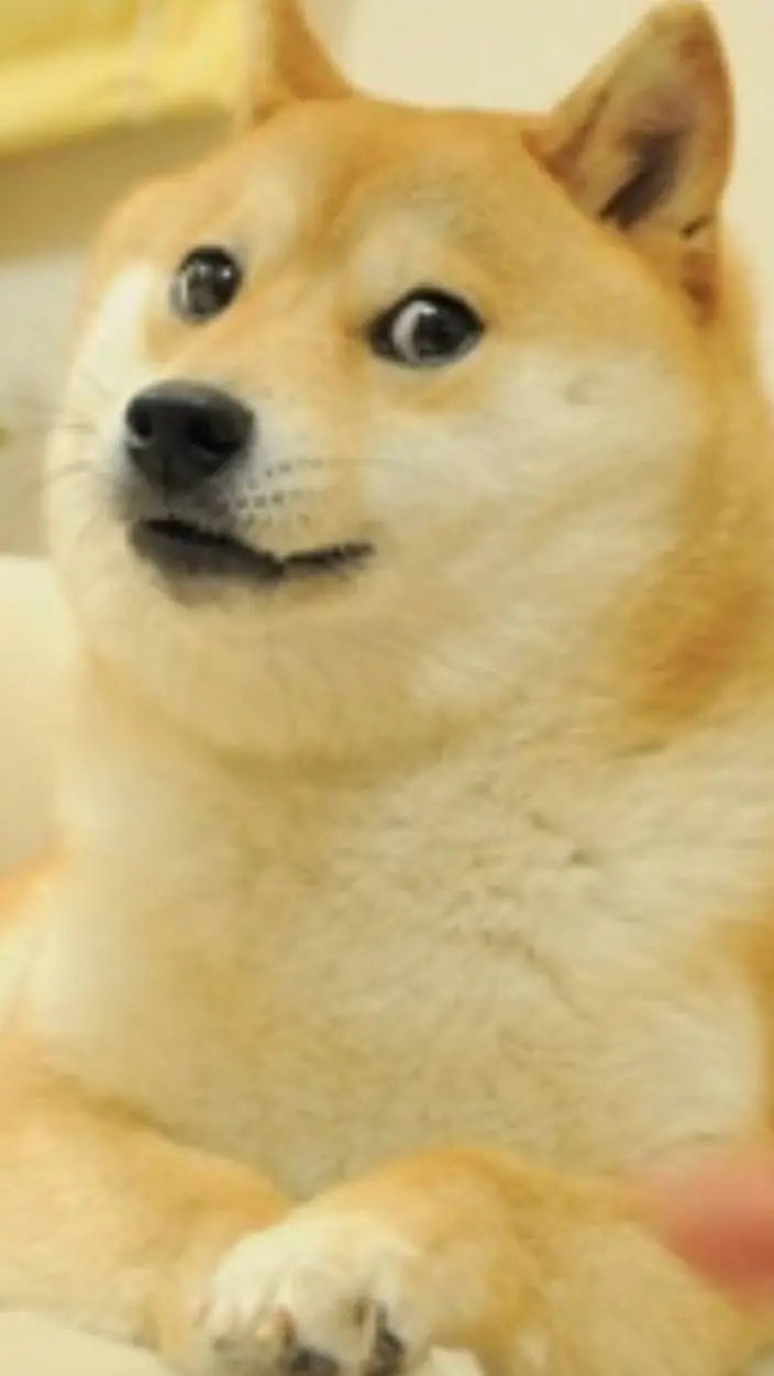 ai character: doge background