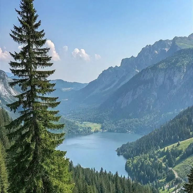 chat with ai character: crea tu historia😫