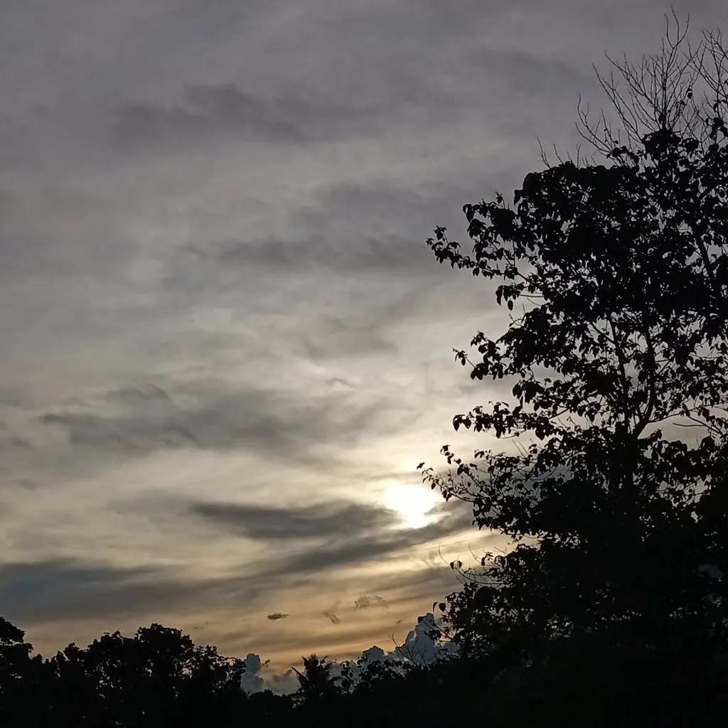 chat with ai character: Prince Gourge 