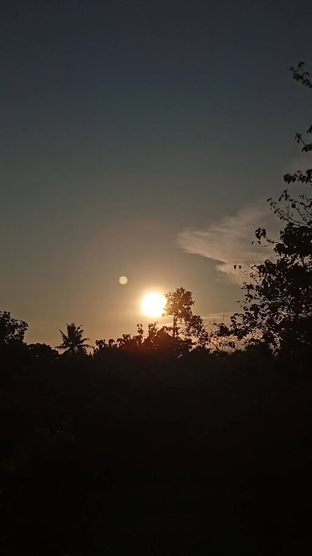 ai character: PRINCE VINCENT  background