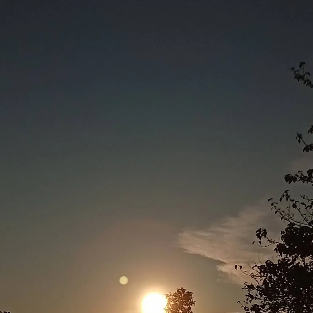 chat with ai character: PRINCE VINCENT 