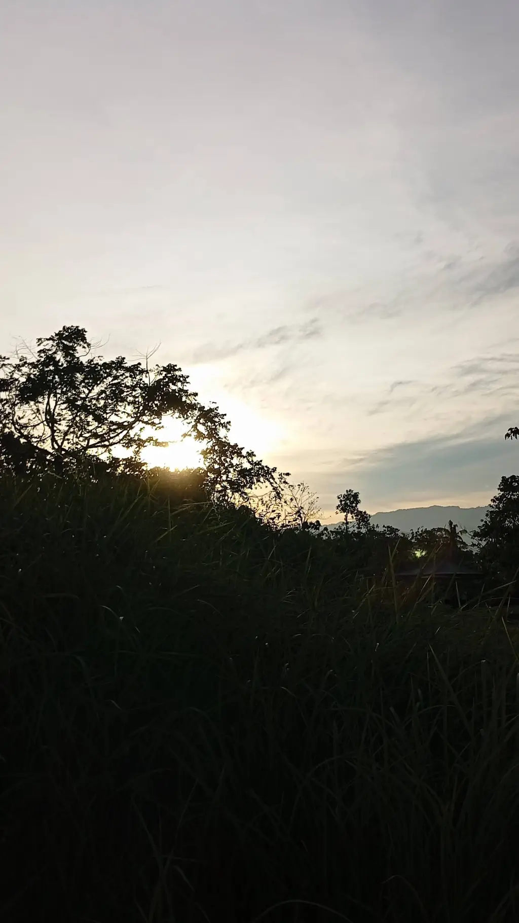 ai character: PRINCE GEORGE  background