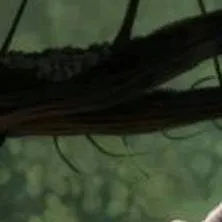 chat with ai character: jurrasic world evo