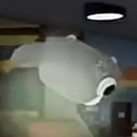 chat with ai character: the plane crash