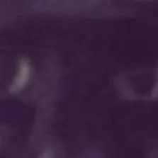 chat with ai character: fnaf and sc