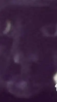 ai character: fnaf and sc background