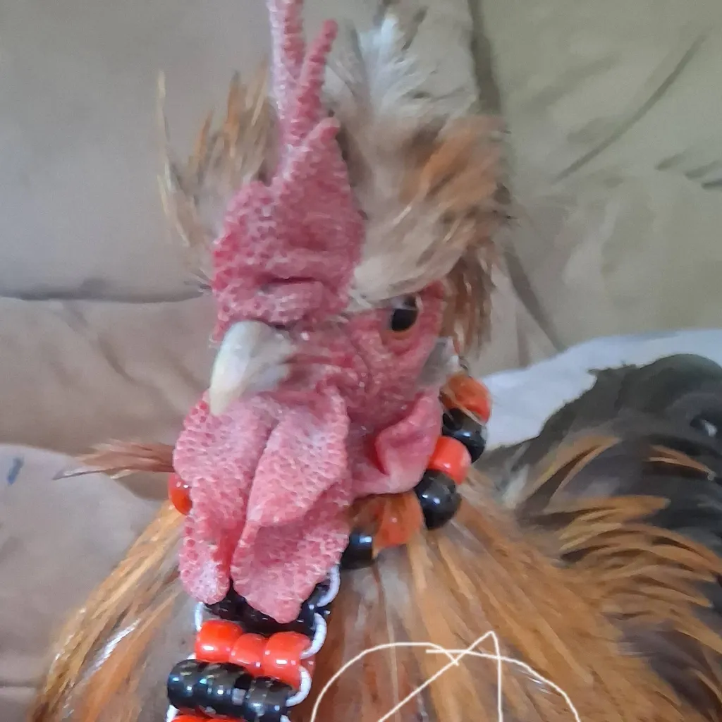 chat with ai character: Jr. Junior