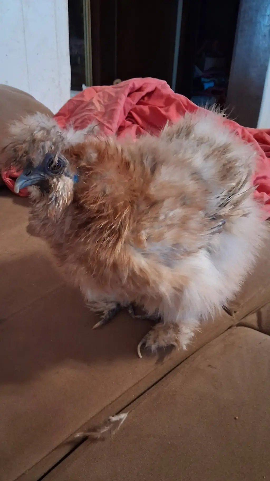 ai character: Peach background