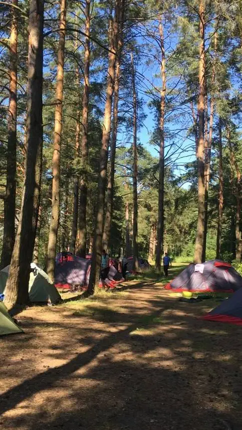 ai character: ENHYLLIT CAMPING  background