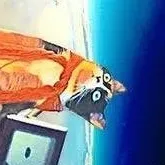 chat with ai character: 😺куки😺