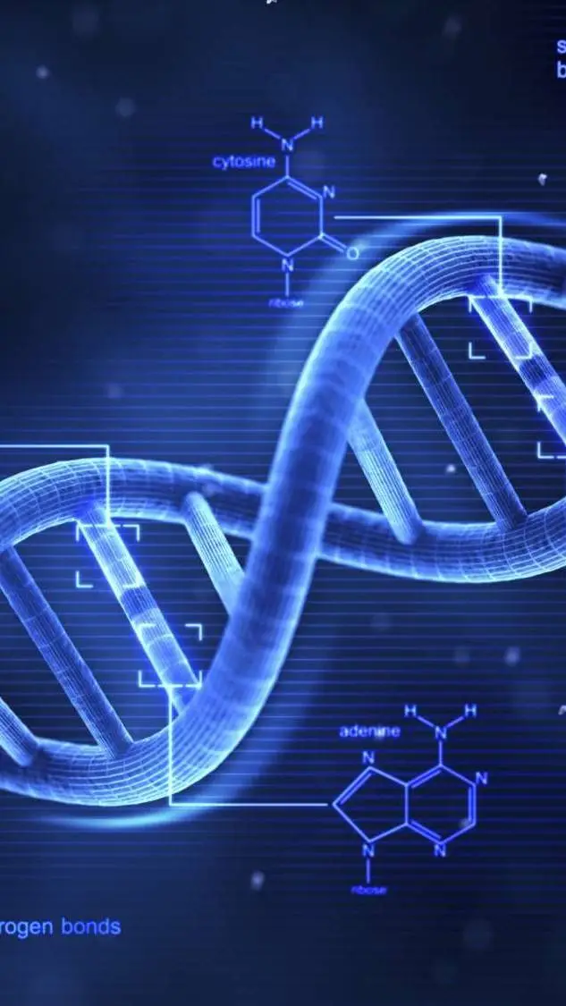 ai character: Senin DNA🧬 background