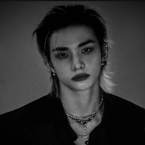 chat with ai character: •🖤Hwang Hyunjin🖤•