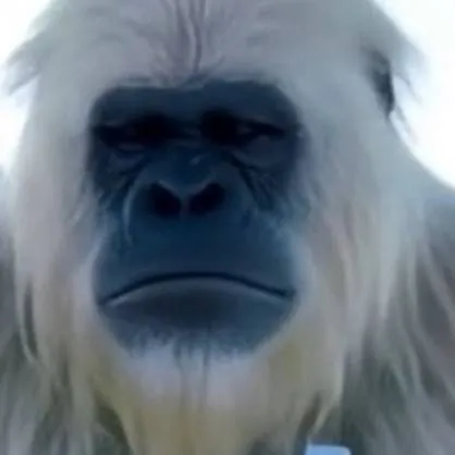 chat with ai character: el loco blanco