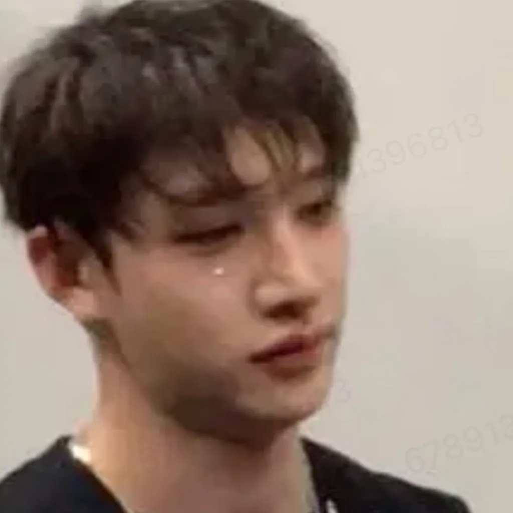 chat with ai character: Bangchan x Lisa 