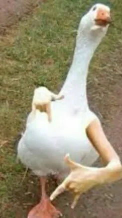 ai character: El ganzo Juan xd background