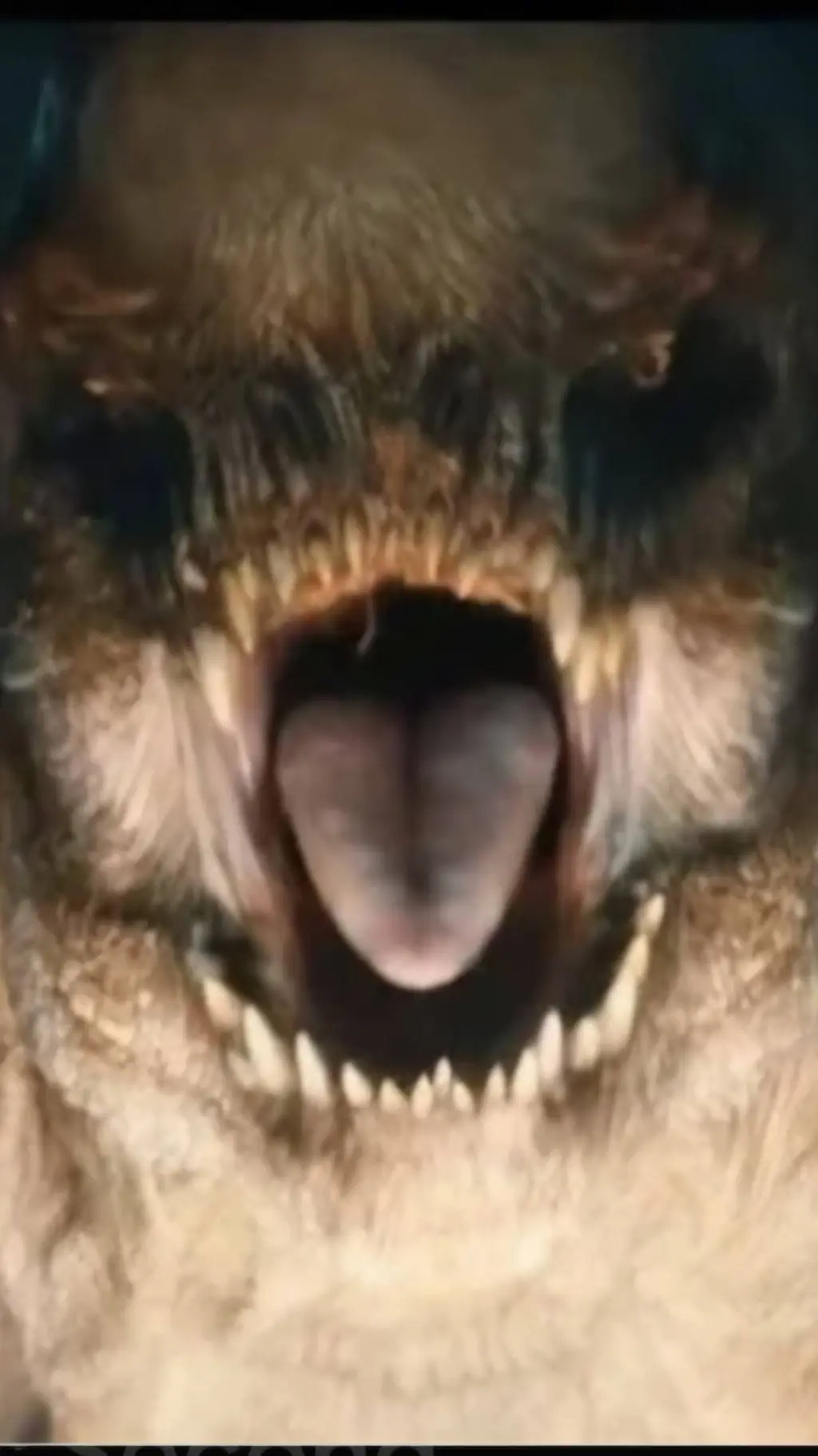 ai character: D-rex background