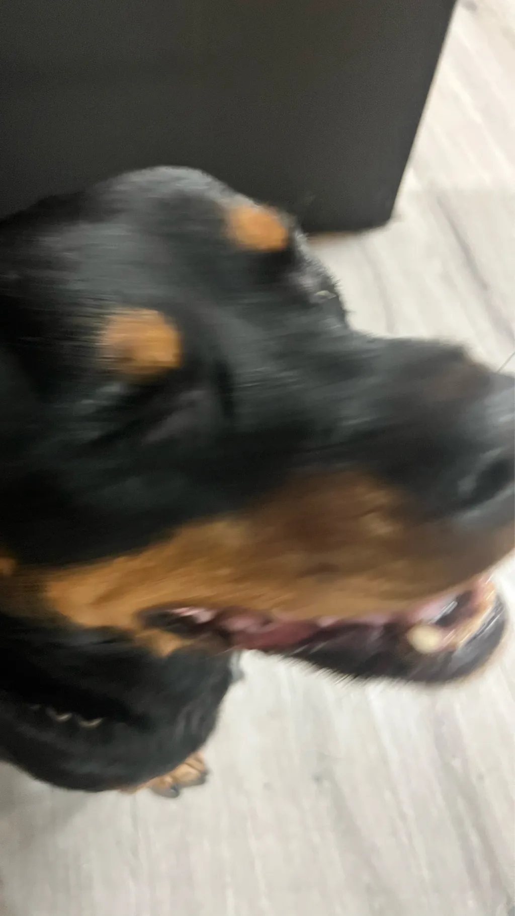 ai character: Jjk reborn  background