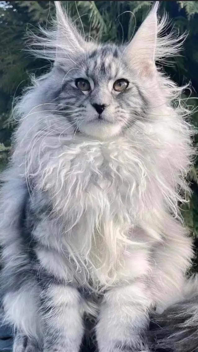 ai character: sweet cutie pie background