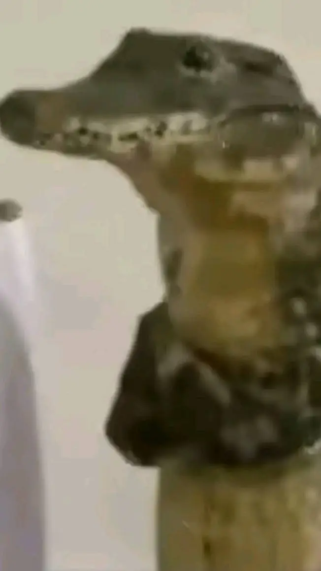 ai character: Crocodile  background