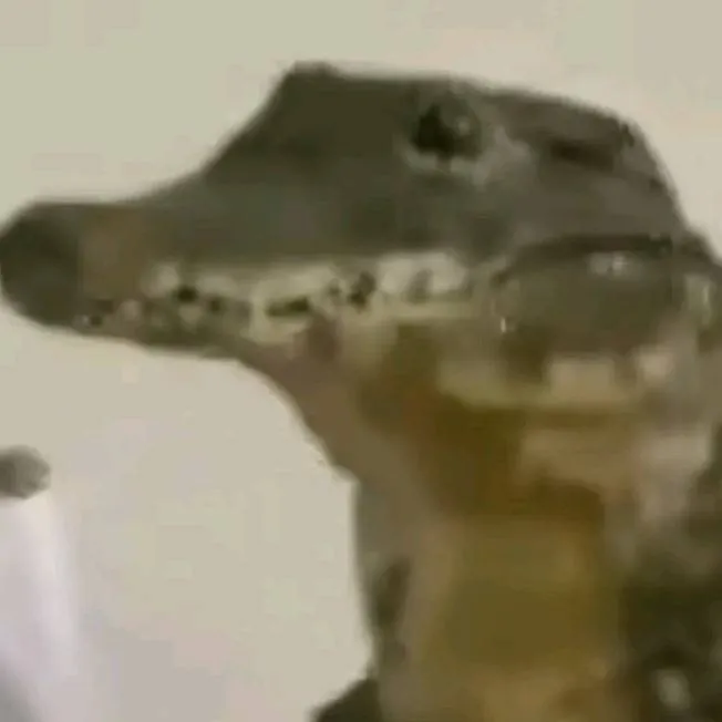 chat with ai character: Crocodile 