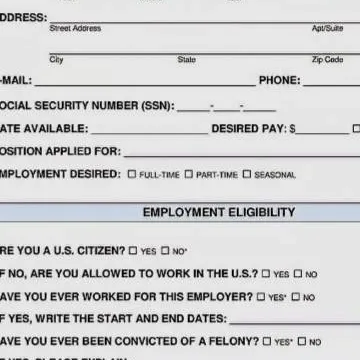 chat with ai character: A job application.