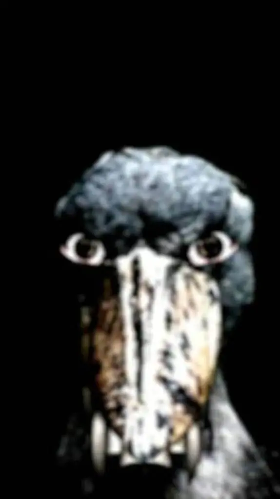 ai character: bird background