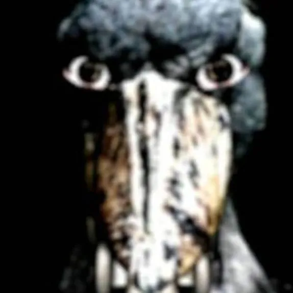 chat with ai character: bird